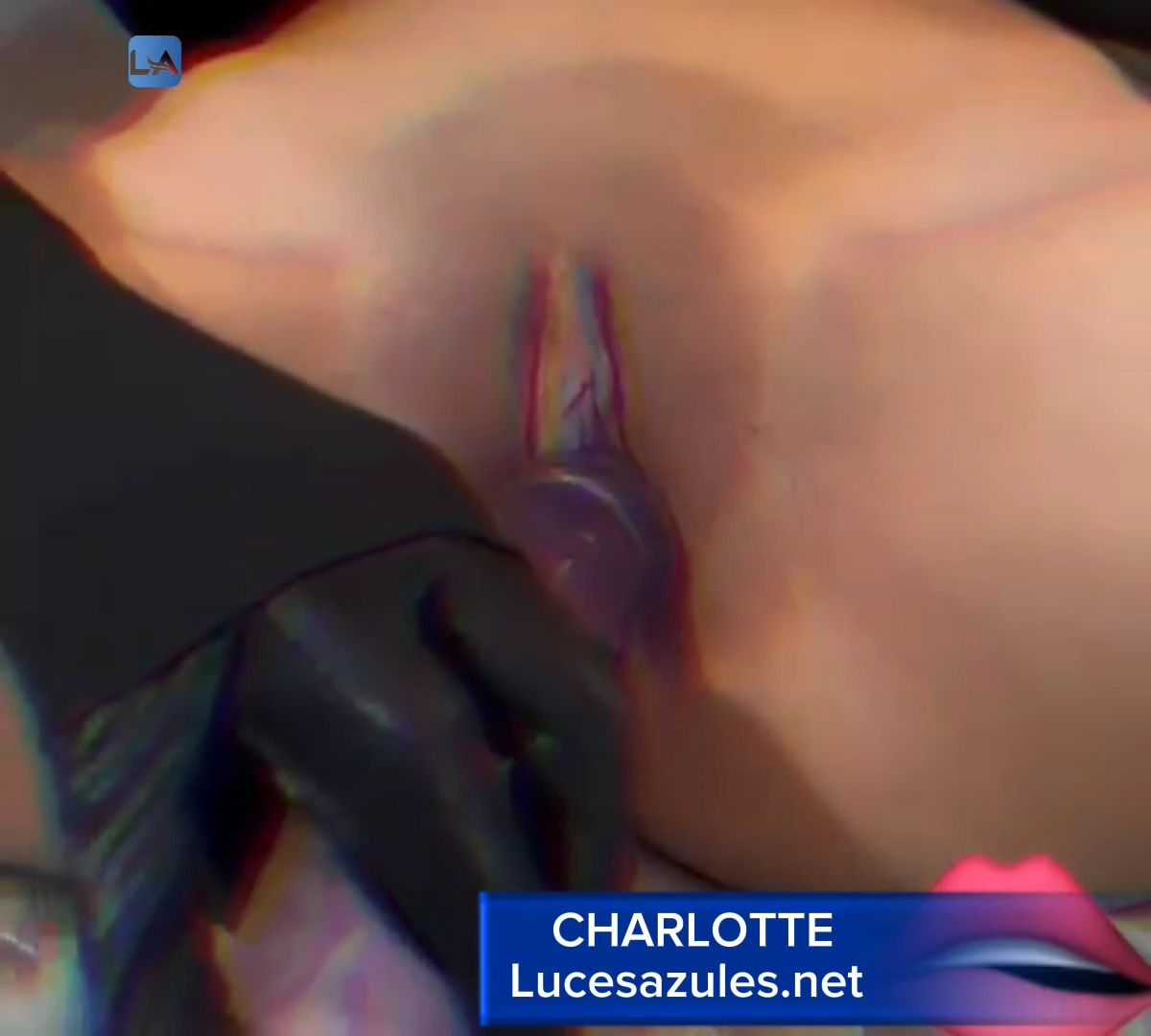 Charlotte - Dildo